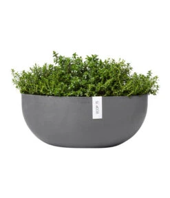 Ecopots Kunststoff-Schale Sofia Mit Wassersystem, Oval, Grau, Ca. B43/H17,5/T25 Cm -Outdoor Garten Geschäft 6614713 WE FS 004 EcopotsKunststoffSchaleSofiabreitovalgrau