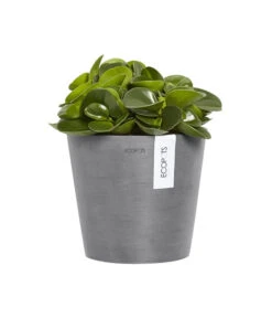 Ecopots Kunststoff-Topf Amsterdam Wall, Rund, Grau, Ca. Ø21,8/H17,5 Cm 8 Ecopots Kunststoff-Topf Amsterdam Wall, Rund, Grau, Ca. Ø21,8/H17,5 Cm -Outdoor Garten Geschäft 6614887 WE FS 003 EcopotsKunststoffTopfAmsterdamWallrundgrau