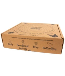 Wildlife Vogeltränke Shenstone, Hellgrün, Ca. Ø44,5/H12 Cm -Outdoor Garten Geschäft 6952410 WE DE 003 WildlifeShenstoneVogeltraenke