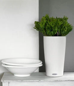 LECHUZA® CILINDRO Color, All-in-One Set -Outdoor Garten Geschäft 6963318 WE MO 03 CilindroColorWeiss