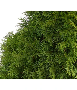 6 Meter Lebensbaum 'Smaragd', 12 X Ca. 140-160 Cm 7 6 Meter Lebensbaum 'Smaragd', 12 X Ca. 140-160 Cm -Outdoor Garten Geschäft 7513534 WE DE 001 ThujaLebensbaumOccidentalisSmaragd20LDehnerExpressHerzig