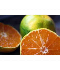 Rangpur-Limette 'Lima Rossa' 8 Rangpur-Limette 'Lima Rossa' -Outdoor Garten Geschäft 7622616 WE MO 001 RangpurLimettePixabay