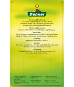 Herbstbirne 'Conference' 15 Herbstbirne 'Conference' -Outdoor Garten Geschäft 7625908 HerbstbirneConference Etikett 2