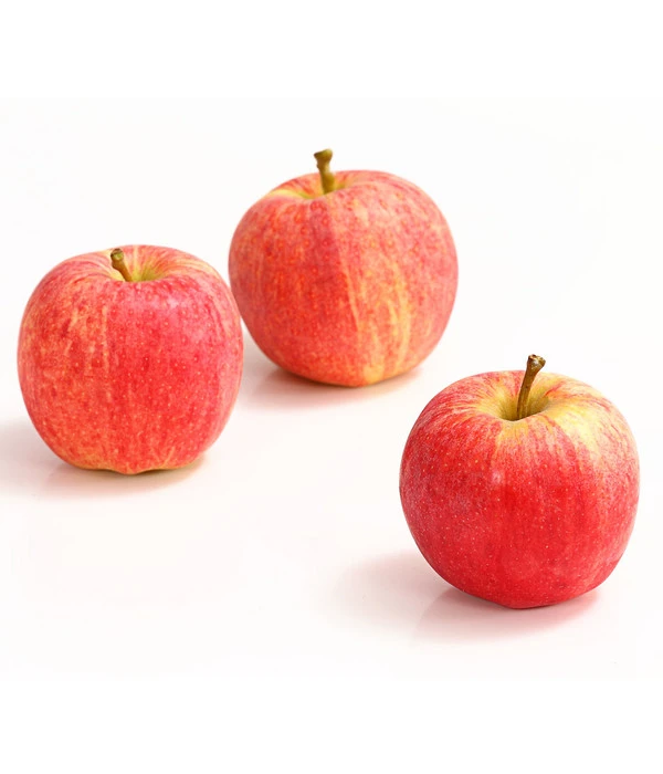 Herbstapfel 'Gala' 1 Herbstapfel 'Gala'