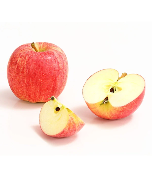 Herbstapfel 'Gala' 2 Herbstapfel 'Gala' – Bild 2