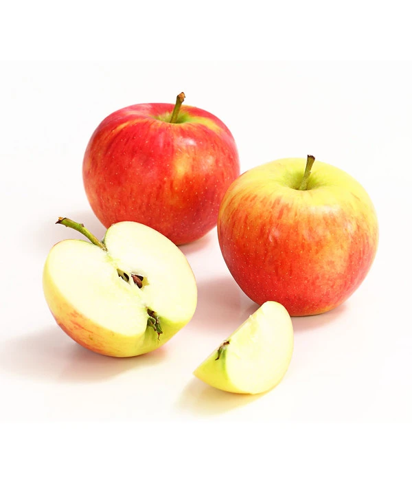 Herbstapfel 'Gerlinde' 2 Herbstapfel 'Gerlinde' – Bild 2