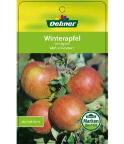 Winterapfel 'Jonagold' -Outdoor Garten Geschäft 7691645 WinterapfelJonagold Etikett 1