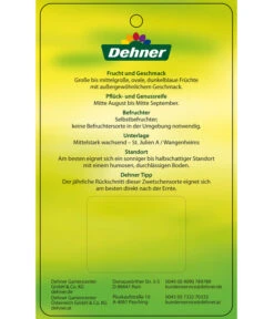 Zwetschge 'Jojo' -Outdoor Garten Geschäft 7692635 ZwetscheJojo Etikett 2