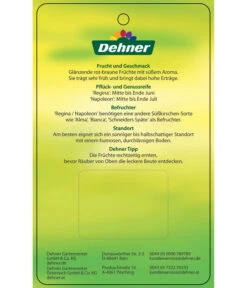 Kirschen-Duo 'Regina/Napoleon' 11 Kirschen-Duo 'Regina/Napoleon' -Outdoor Garten Geschäft 7738792 Suesskirschen DuoReginaNapoleon Etikett 2