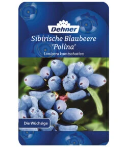 Maibeere -Outdoor Garten Geschäft 7756448 SibirischeBlaubeerePolina Etikett 1