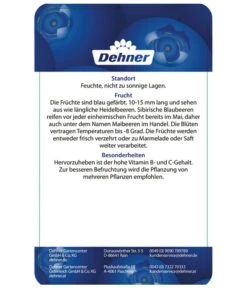 Maibeere -Outdoor Garten Geschäft 7756448 SibirischeBlaubeerePolina Etikett 2