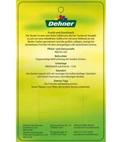 Kirschen-Duo 'Sunburst/Burlat' -Outdoor Garten Geschäft 7760713 Suesskirschen DuoSunburstBurlat Etikett 2