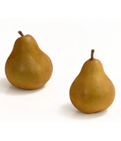 Winterbirne 'Uta' -Outdoor Garten Geschäft 7769854 WE DE 003 BirneUtaDehnerExpressHerzig