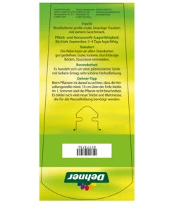 Tafeltraube 'Vanessa' -Outdoor Garten Geschäft 7773732 TafeltraubeVanessa Etikett2