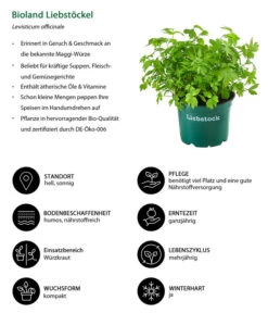 Bestseller -Outdoor Garten Geschäft 8002008 WE IG 001 BiolandLiebstoeckel