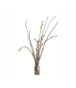 Kirschzweige-Bund, Ca. 80-100 Cm 8 Kirschzweige-Bund, Ca. 80-100 Cm -Outdoor Garten Geschäft 8149049 WE FS 002 KirschzweigeBundDehnerExpressHerzig