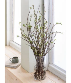 Kirschzweige-Bund, Ca. 80-100 Cm 10 Kirschzweige-Bund, Ca. 80-100 Cm -Outdoor Garten Geschäft 8149049 WE MO 001 KirschzweigeHandbund