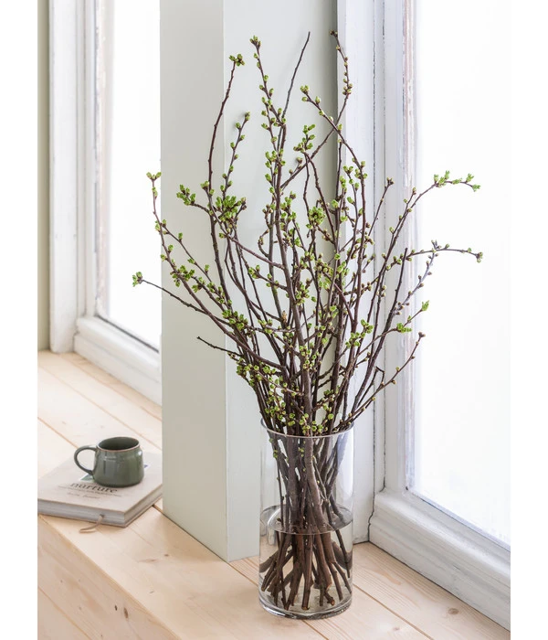 Kirschzweige-Bund, Ca. 80-100 Cm 5 Kirschzweige-Bund, Ca. 80-100 Cm – Bild 5