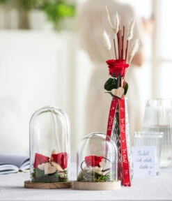 Longlife-Rose Mit Stiel, Rot -Outdoor Garten Geschäft 8170151 WE MO 001 LonglifeRoseValentin