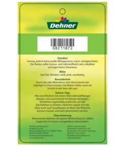 Inkalilie, Verschiedene Sorten -Outdoor Garten Geschäft 8211872 InkalilieInticancha Etikett 2