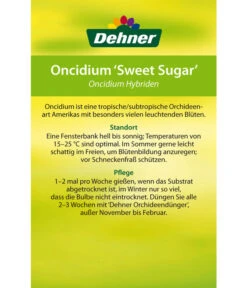 Oncidium - Oncidium Cultivars 'Sweet Sugar' 7 Oncidium - Oncidium Cultivars 'Sweet Sugar' -Outdoor Garten Geschäft 8249708 8251662 Oncidium Sweet Sugar Etikett 2