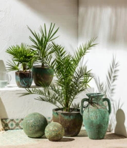 Bestseller -Outdoor Garten Geschäft 8608838 8607905 WE MO 001 Palmen