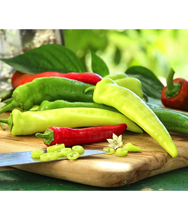 Peperoni 'Hyper' 1 Peperoni 'Hyper'