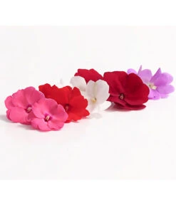 Edellieschen, Verschiedene Farben -Outdoor Garten Geschäft 8814634 WE DE 001 EdellieschenImpatiensNeuguineaT12MixDehnerExpressHerzig