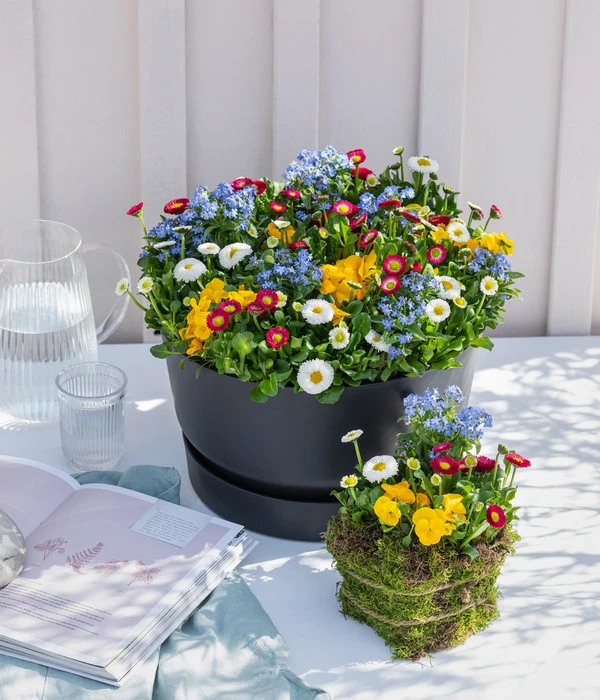 Frühlings-Quattro 2 Frühlings-Quattro – Bild 2