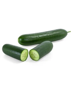 Mini Schlangengurke -Outdoor Garten Geschäft 8830747 WE FS 003 Minischlangengurke