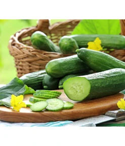 Bestseller 1 Mini Schlangengurke