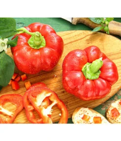 Bestseller 11 Dehner Gourmet Garten Tomatenpaprika