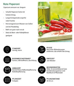Rote Peperoni, Scharf 11 Rote Peperoni, Scharf -Outdoor Garten Geschäft 8831687 WE IG 001 RotePeperoni