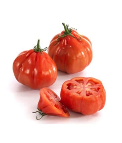 Ochsenherztomate 'Fleurette' 7 Ochsenherztomate 'Fleurette' -Outdoor Garten Geschäft 8832883 WE DE 001 Ochsenherztomate