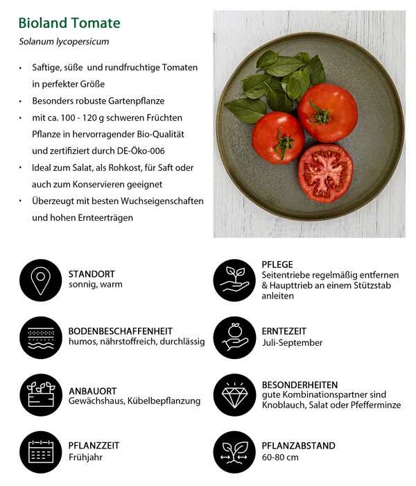 Bioland Tomate, Rundfruchtig 4 Bioland Tomate, Rundfruchtig – Bild 4