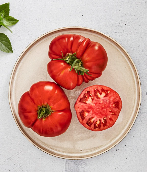 Bioland Fleischtomate 3 Bioland Fleischtomate – Bild 3