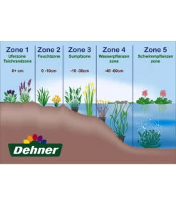 Dehner Aqua Seerose -Outdoor Garten Geschäft WE DE 001 Teichzonen Wasserpflanzen Schild